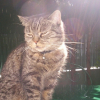 Photo de Nini