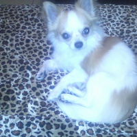 Photo de profil de Baby