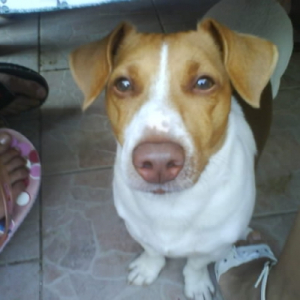 Photo de profil de Freesbee