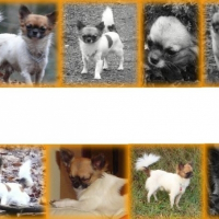 Photo de profil de Espion