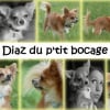 Photo de Diaz