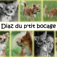 Photo de profil de Diaz
