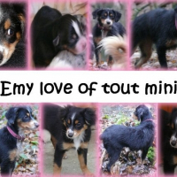 Photo de profil de Emy love