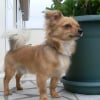 Photo de Diego