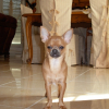 Photo de Diesel