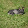 Photo de Elmout