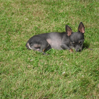 Photo de profil de Elmout