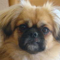 Photo de profil de Jade