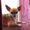Photo de Bibi