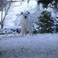 Photo de profil de Tania