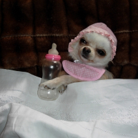 Photo de profil de Dolly