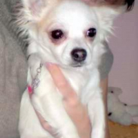 Photo de profil de Chanelle