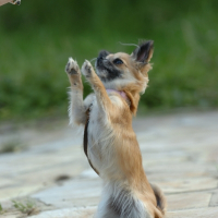 Photo de profil de Kalinka
