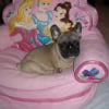 Photo de Fiby