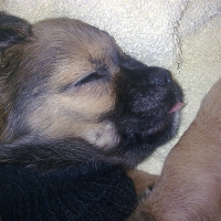 Photo de profil de Lylie