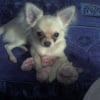 Photo de Crumble