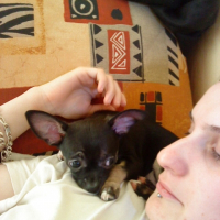 Photo de profil de Fidji