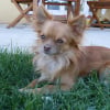 Photo de Bounty