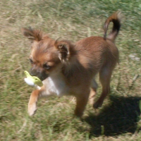 Photo de profil de Maya