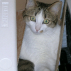 Photo de Filou