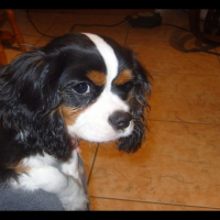 Photo de profil de Dustin
