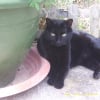 Photo de Tessy