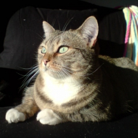 Photo de profil de Capucine