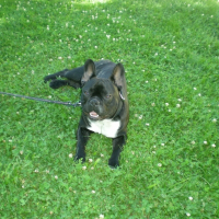 Photo de profil de Cisko