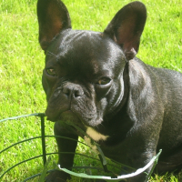 Photo de profil de Aldo