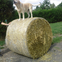 Photo de profil de Tania