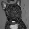 Photo de Edgar