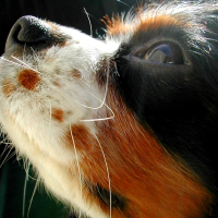 Photo de profil de Wann