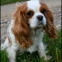 Photo de profil de Vénus
