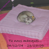 Photo de Praline