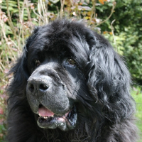 Photo de profil de Nérac