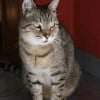 Photo de Gribouille