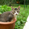 Photo de Nini