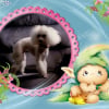 Photo de Fanny rip