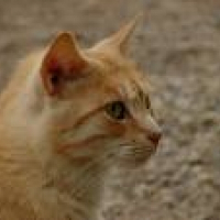 Photo de profil de Lili