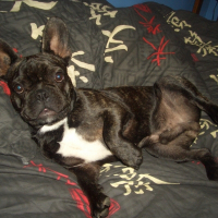 Photo de profil de Sanka