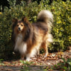 Photo de Usko