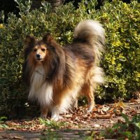 Photo de profil de Usko