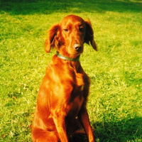 Photo de profil de Naya