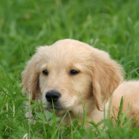 Photo de profil de Max