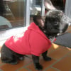 Photo de Kenzo
