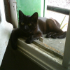 Photo de Punky