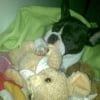 Photo de Evora