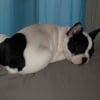 Photo de Enya