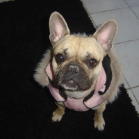 Photo de profil de Cash