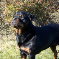 Photo de profil de Ticia